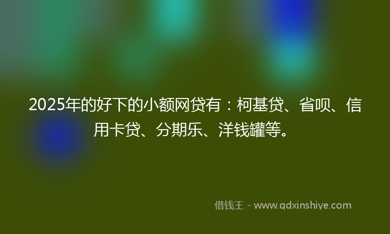 2025年的好下的小额网贷有：柯基贷、省呗、信用卡贷、分期乐、洋钱罐等。
