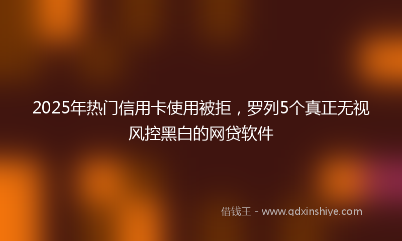 2025年热门信用卡使用被拒，罗列5个真正无视风控黑白的网贷软件