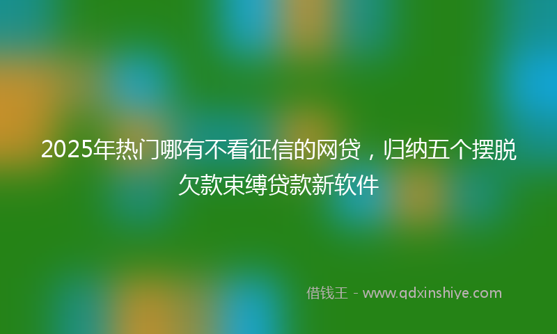 2025年热门哪有不看征信的网贷，归纳五个摆脱欠款束缚贷款新软件