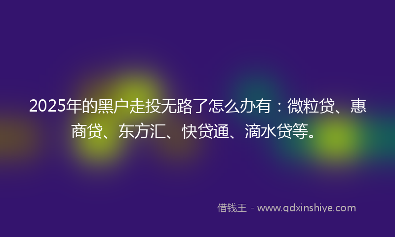 2025年的黑户走投无路了怎么办有：微粒贷、惠商贷、东方汇、快贷通、滴水贷等。