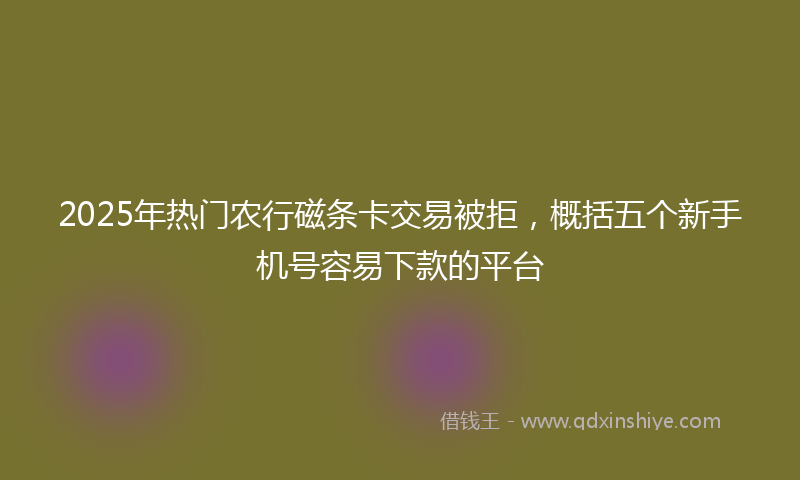 2025年热门农行磁条卡交易被拒，概括五个新手机号容易下款的平台
