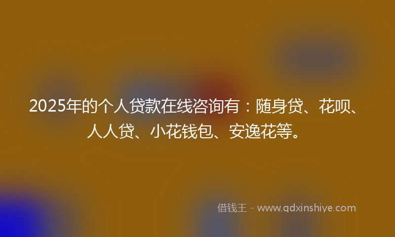 2025年的个人贷款在线咨询有：随身贷、花呗、人人贷、小花钱包、安逸花等。