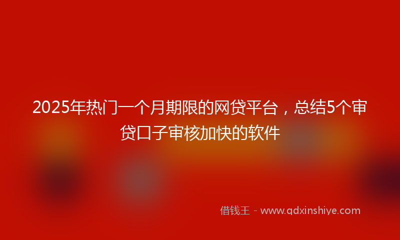2025年热门一个月期限的网贷平台，总结5个审贷口子审核加快的软件