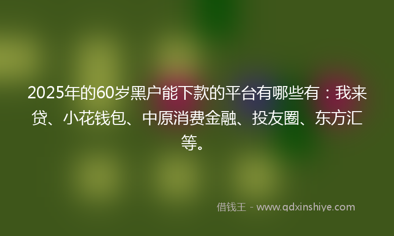 2025年的60岁黑户能下款的平台有哪些有：我来贷、小花钱包、中原消费金融、投友圈、东方汇等。
