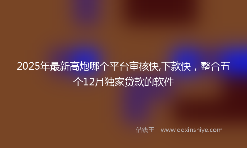 2025年最新高炮哪个平台审核快,下款快，整合五个12月独家贷款的软件