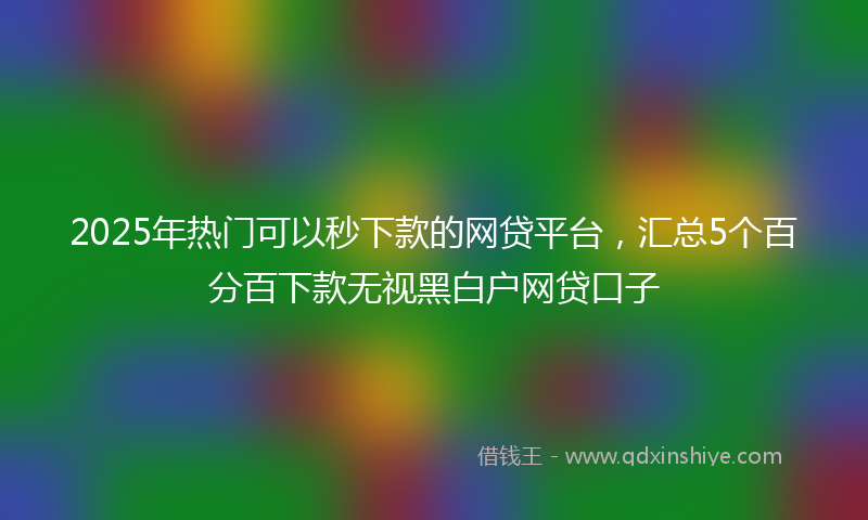 2025年热门可以秒下款的网贷平台，汇总5个百分百下款无视黑白户网贷口子