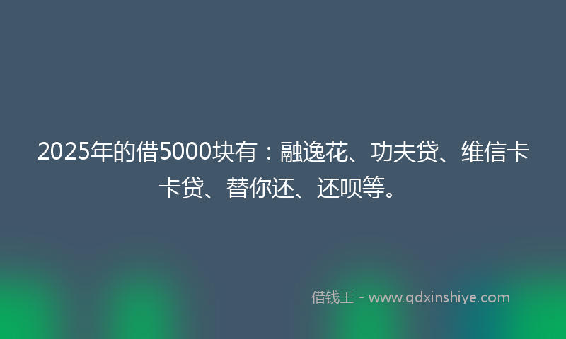 2025年的借5000块有：融逸花、功夫贷、维信卡卡贷、替你还、还呗等。