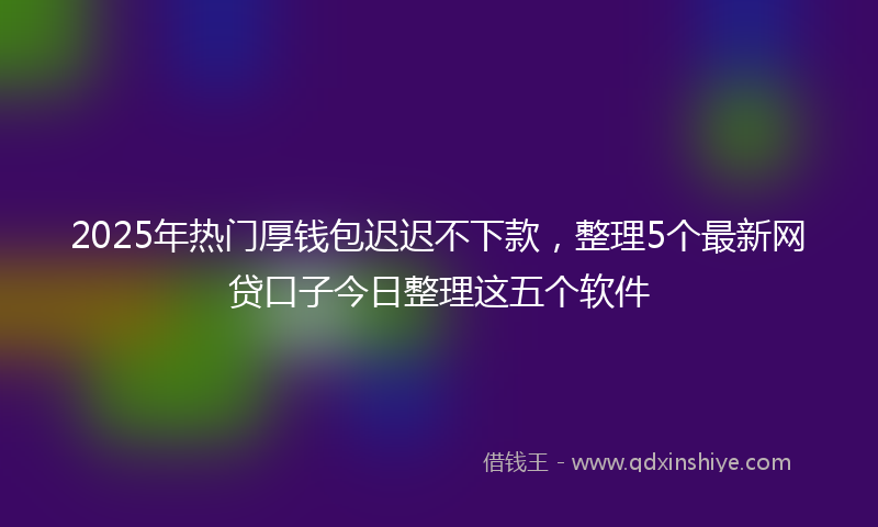 2025年热门厚钱包迟迟不下款，整理5个最新网贷口子今日整理这五个软件