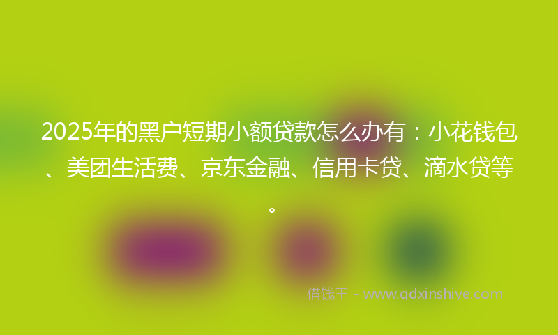 2025年的黑户短期小额贷款怎么办有：小花钱包、美团生活费、京东金融、信用卡贷、滴水贷等。
