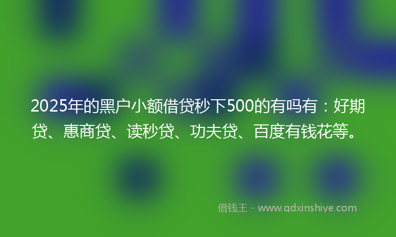 2025年的黑户小额借贷秒下500的有吗有：好期贷、惠商贷、读秒贷、功夫贷、百度有钱花等。
