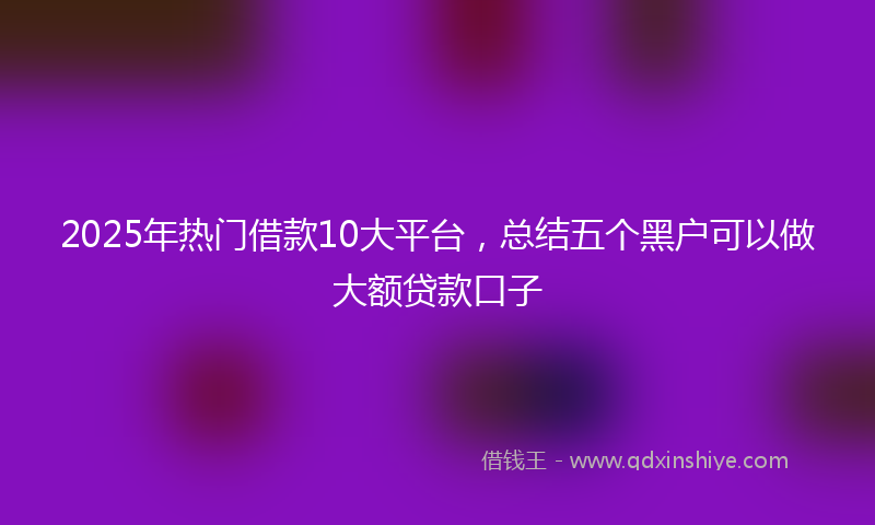 2025年热门借款10大平台，总结五个黑户可以做大额贷款口子