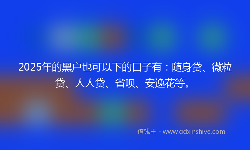 2025年的黑户也可以下的口子有：随身贷、微粒贷、人人贷、省呗、安逸花等。