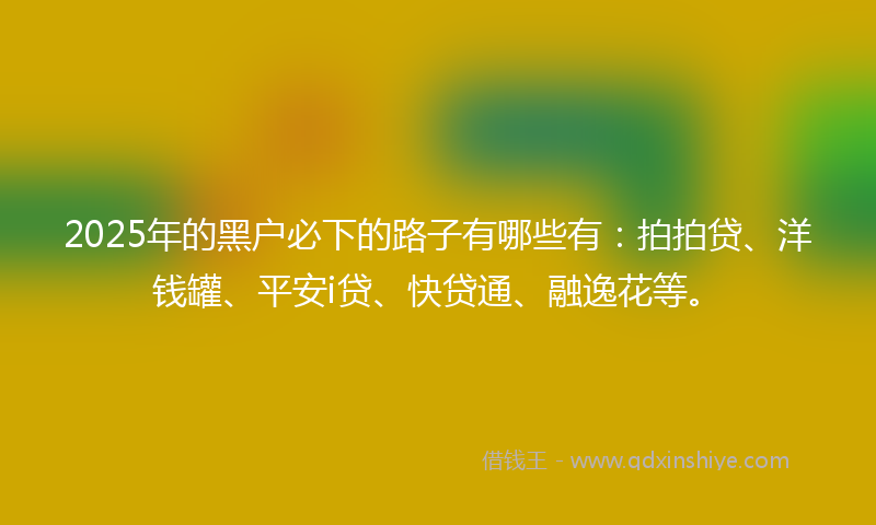 2025年的黑户必下的路子有哪些有：拍拍贷、洋钱罐、平安i贷、快贷通、融逸花等。