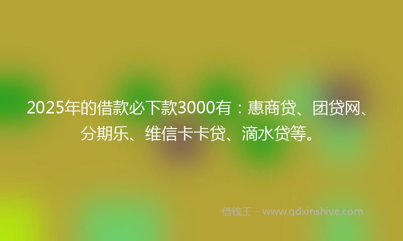 2025年的借款必下款3000有：惠商贷、团贷网、分期乐、维信卡卡贷、滴水贷等。