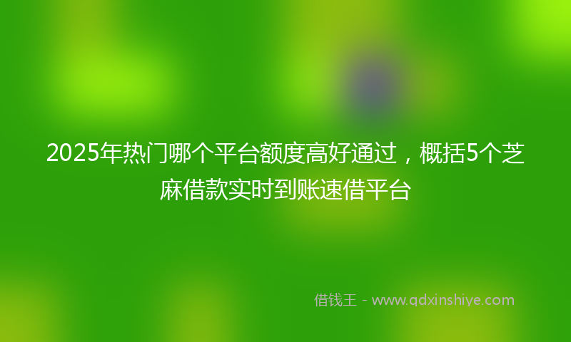 2025年热门哪个平台额度高好通过，概括5个芝麻借款实时到账速借平台