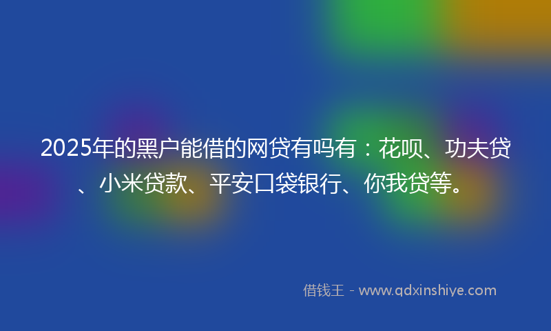2025年的黑户能借的网贷有吗有：花呗、功夫贷、小米贷款、平安口袋银行、你我贷等。