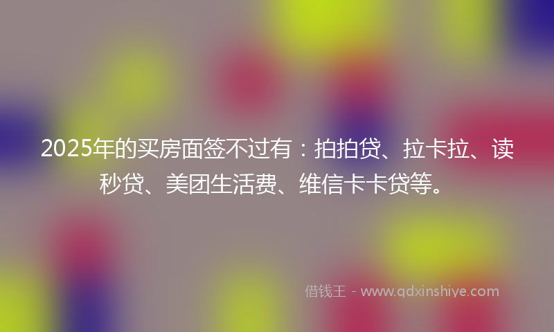 2025年的买房面签不过有：拍拍贷、拉卡拉、读秒贷、美团生活费、维信卡卡贷等。
