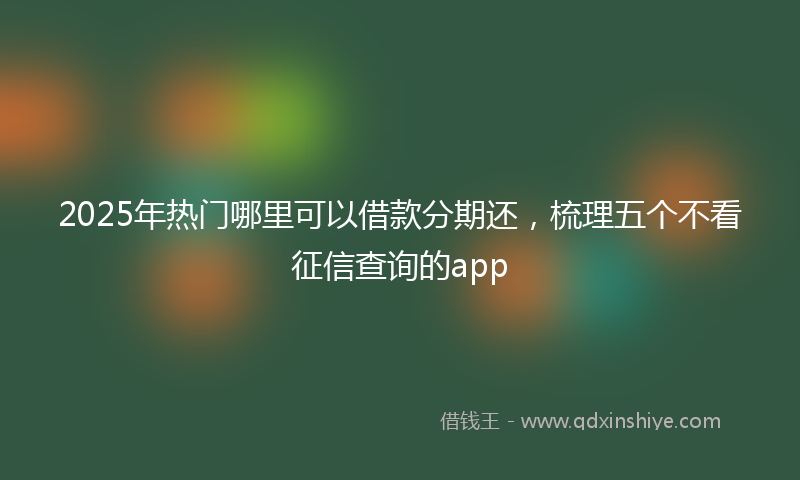2025年热门哪里可以借款分期还，梳理五个不看征信查询的app