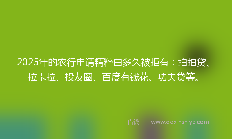 2025年的农行申请精粹白多久被拒有：拍拍贷、拉卡拉、投友圈、百度有钱花、功夫贷等。