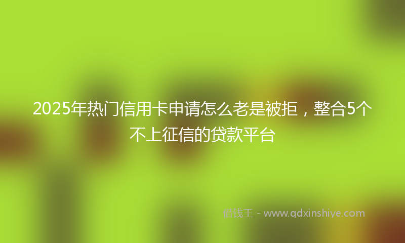2025年热门信用卡申请怎么老是被拒，整合5个不上征信的贷款平台