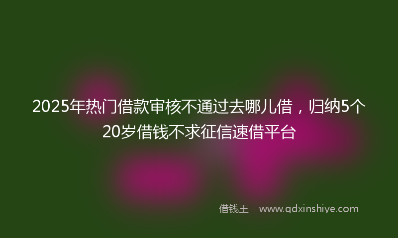 2025年热门借款审核不通过去哪儿借，归纳5个20岁借钱不求征信速借平台