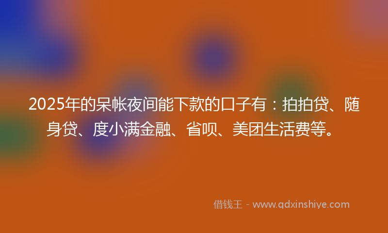 2025年的呆帐夜间能下款的口子有：拍拍贷、随身贷、度小满金融、省呗、美团生活费等。