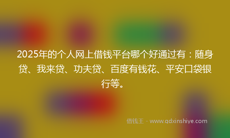 2025年的个人网上借钱平台哪个好通过有：随身贷、我来贷、功夫贷、百度有钱花、平安口袋银行等。