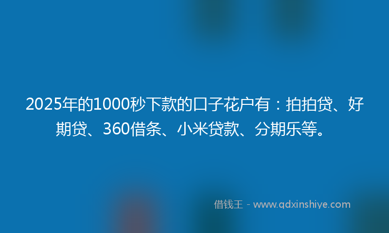2025年的1000秒下款的口子花户有：拍拍贷、好期贷、360借条、小米贷款、分期乐等。