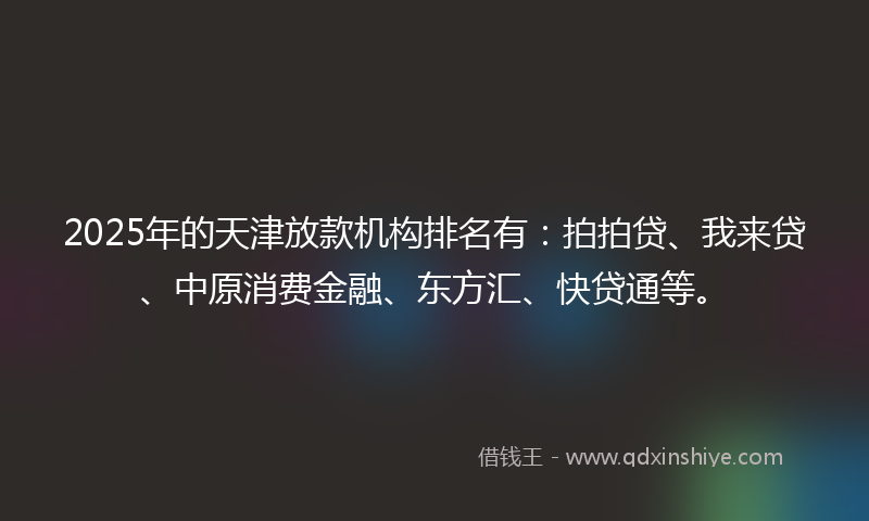 2025年的天津放款机构排名有：拍拍贷、我来贷、中原消费金融、东方汇、快贷通等。