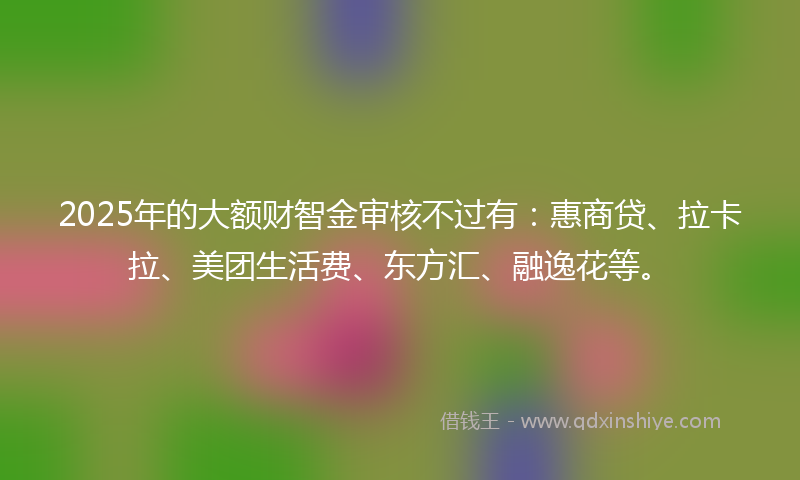 2025年的大额财智金审核不过有：惠商贷、拉卡拉、美团生活费、东方汇、融逸花等。
