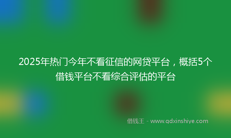 2025年热门今年不看征信的网贷平台，概括5个借钱平台不看综合评估的平台