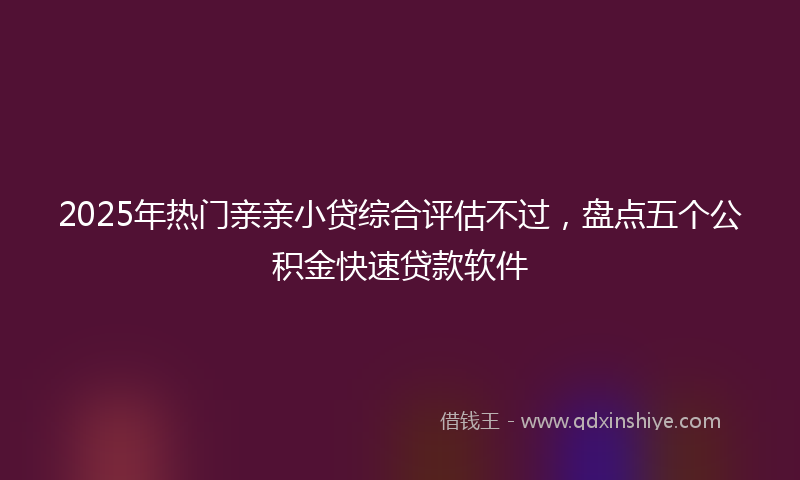 2025年热门亲亲小贷综合评估不过，盘点五个公积金快速贷款软件