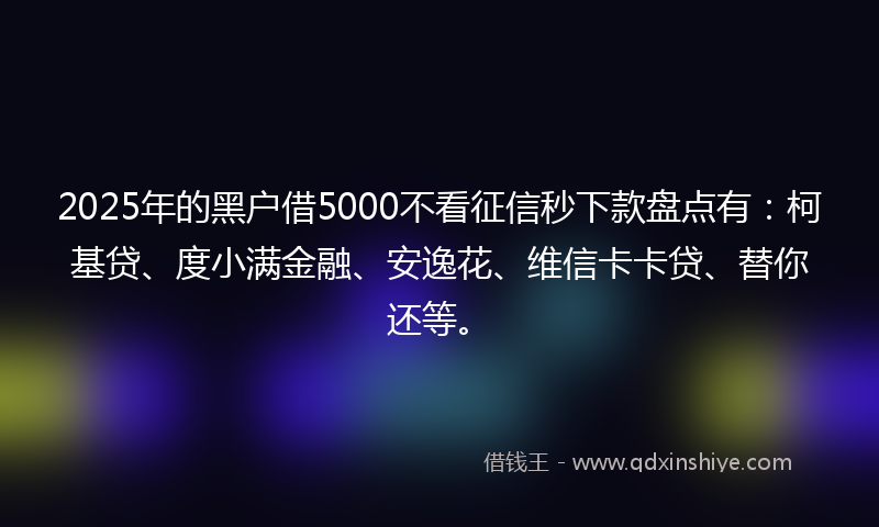 2025年的黑户借5000不看征信秒下款盘点有：柯基贷、度小满金融、安逸花、维信卡卡贷、替你还等。