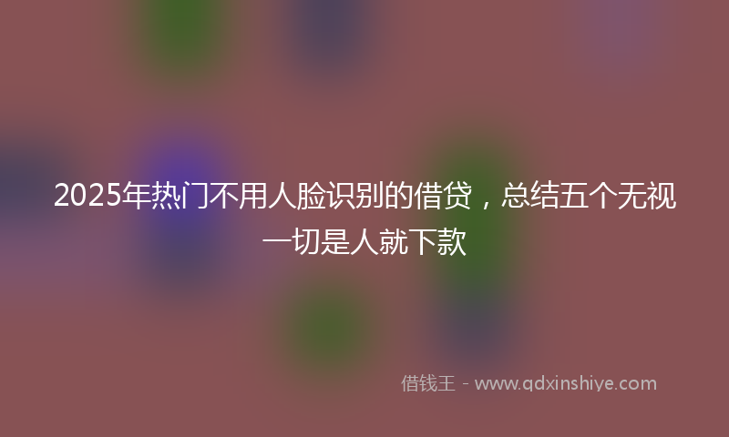 2025年热门不用人脸识别的借贷，总结五个无视一切是人就下款