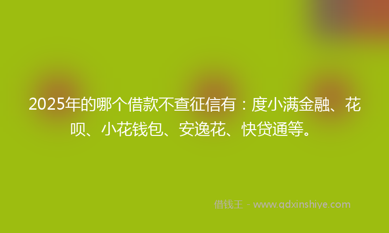 2025年的哪个借款不查征信有：度小满金融、花呗、小花钱包、安逸花、快贷通等。