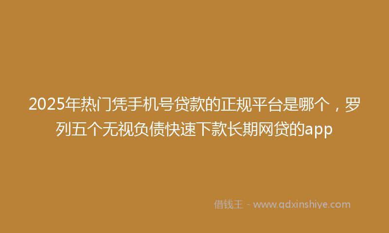 2025年热门凭手机号贷款的正规平台是哪个，罗列五个无视负债快速下款长期网贷的app