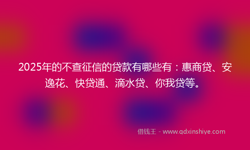 2025年的不查征信的贷款有哪些有：惠商贷、安逸花、快贷通、滴水贷、你我贷等。