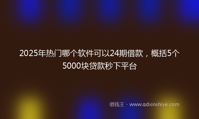 2025年热门哪个软件可以24期借款，概括5个5000块贷款秒下平台