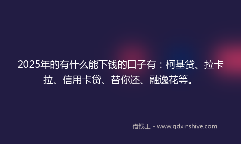 2025年的有什么能下钱的口子有：柯基贷、拉卡拉、信用卡贷、替你还、融逸花等。