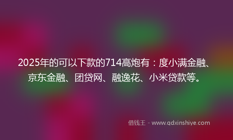 2025年的可以下款的714高炮有：度小满金融、京东金融、团贷网、融逸花、小米贷款等。