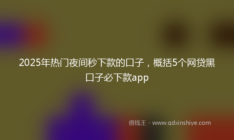 2025年热门夜间秒下款的口子，概括5个网贷黑口子必下款app