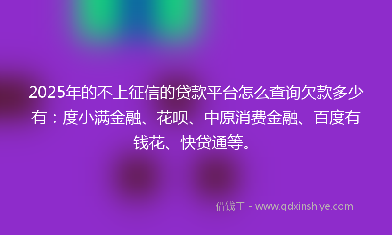 2025年的不上征信的贷款平台怎么查询欠款多少有：度小满金融、花呗、中原消费金融、百度有钱花、快贷通等。