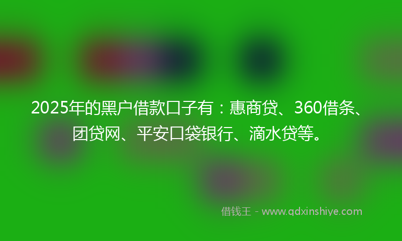 2025年的黑户借款口子有：惠商贷、360借条、团贷网、平安口袋银行、滴水贷等。