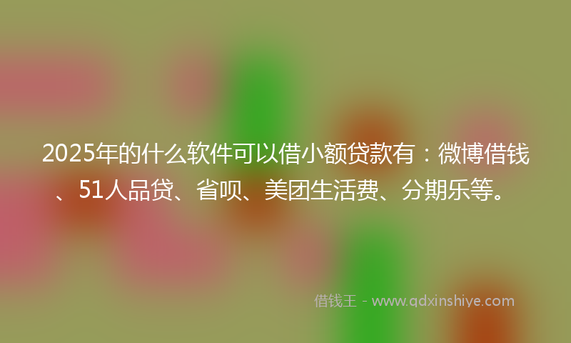 2025年的什么软件可以借小额贷款有：微博借钱、51人品贷、省呗、美团生活费、分期乐等。