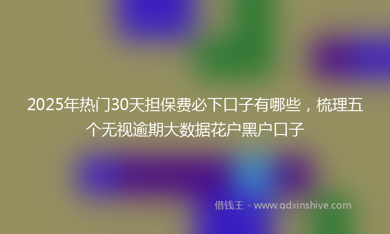 2025年热门30天担保费必下口子有哪些，梳理五个无视逾期大数据花户黑户口子