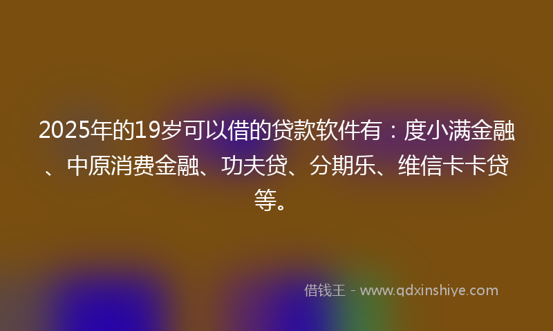 2025年的19岁可以借的贷款软件有：度小满金融、中原消费金融、功夫贷、分期乐、维信卡卡贷等。