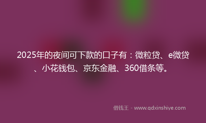 2025年的夜间可下款的口子有：微粒贷、e微贷、小花钱包、京东金融、360借条等。