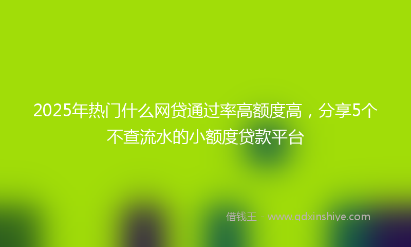 2025年热门什么网贷通过率高额度高，分享5个不查流水的小额度贷款平台