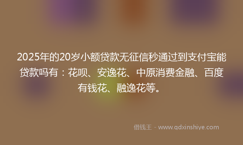 2025年的20岁小额贷款无征信秒通过到支付宝能贷款吗有：花呗、安逸花、中原消费金融、百度有钱花、融逸花等。
