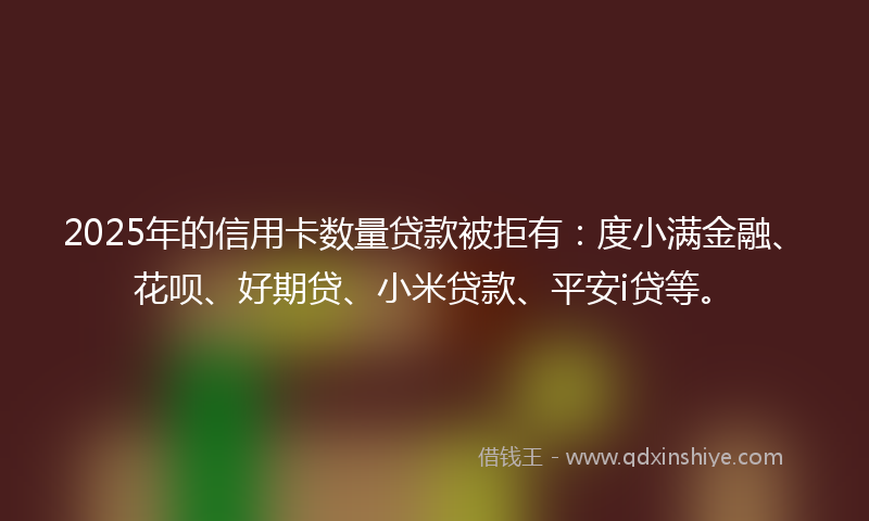 2025年的信用卡数量贷款被拒有：度小满金融、花呗、好期贷、小米贷款、平安i贷等。